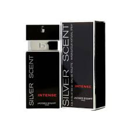 Perfume Silver Scent 100ML