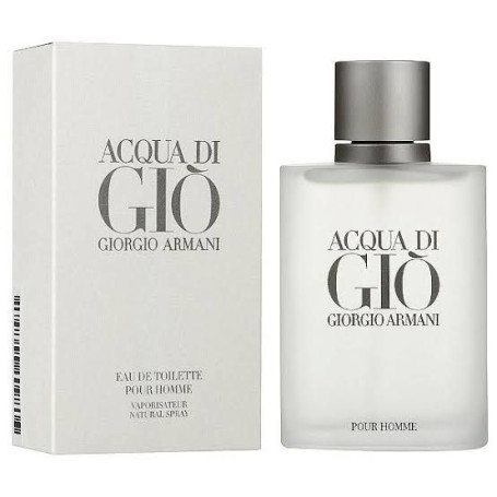 Giorgio Armani Acqua di Giò 100ml – Perfume Masculino Elegante 