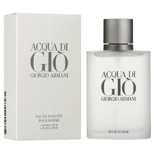 Giorgio Armani Acqua di Giò 100ml – Perfume Masculino Elegante 